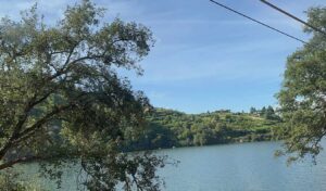 Read more about the article Portugal Travel Journal Day 3: Douro Valley