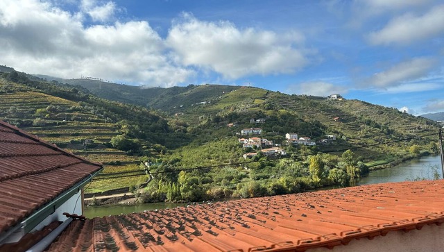 Douro Valley Scenic Train Ride