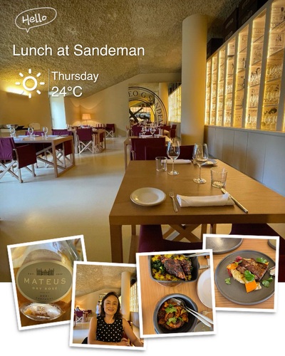 Lunch at Sandeman Vineyard