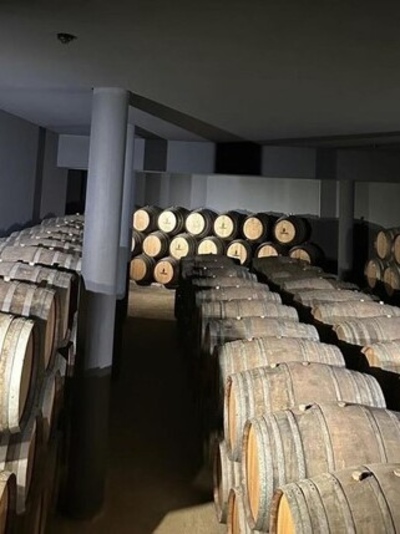 Douro Valley Sandeman WIne Tour