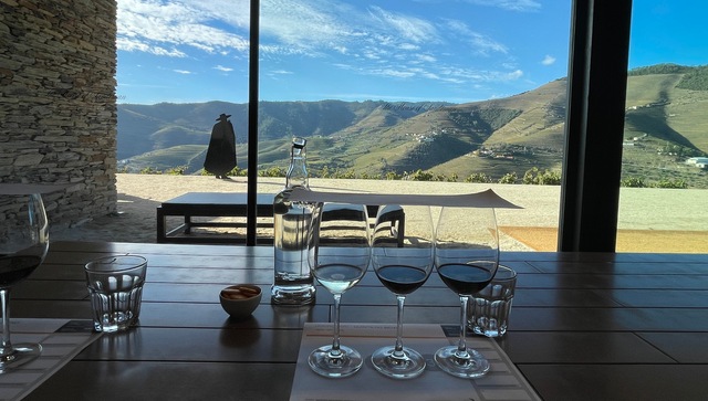 Douro Valley Sandeman WIne Tasting