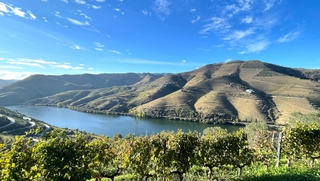 Douro Valley Scenic Walk