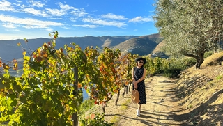 Douro Valley Scenic Walk