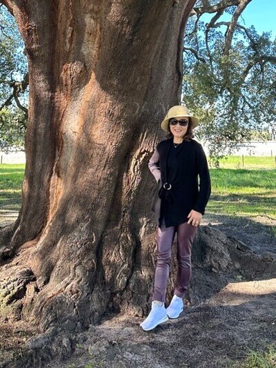 Evora Cork tree