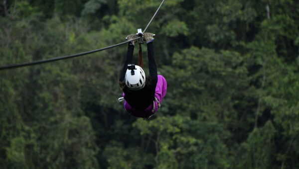 zipline