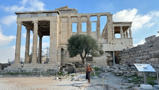 ancient olive tree beside Erechtheion