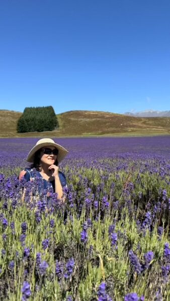 Lavender Farm