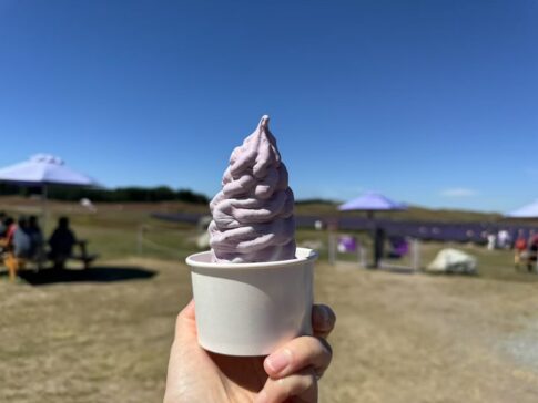 lavender ice cream