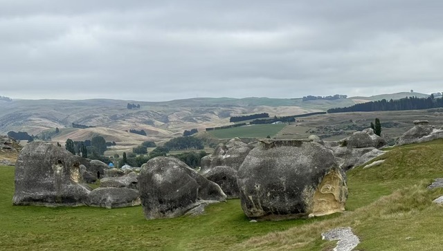 Dunedin Elephant Rock