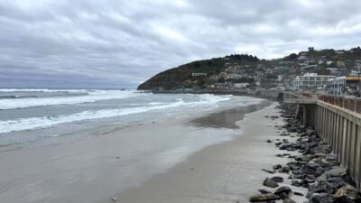 Dunedin Coast line