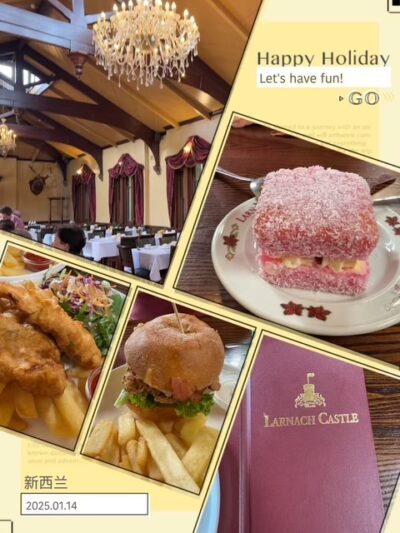 lunch at larnach castle