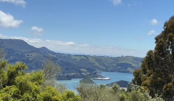 view from larnach castle