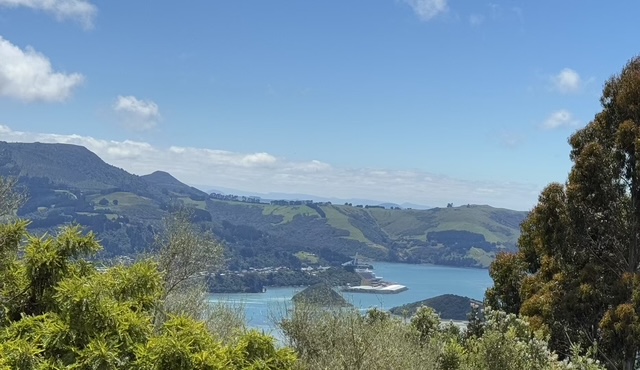 Dunedin Otago Harbour