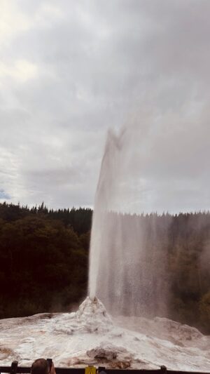 Lady Knox Geyser