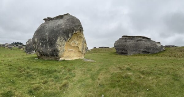 elephant rock