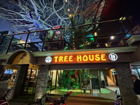 tree house restaurant