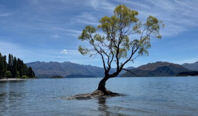 Read more about the article New Zealand Travel Journal Day 7: Queenstown