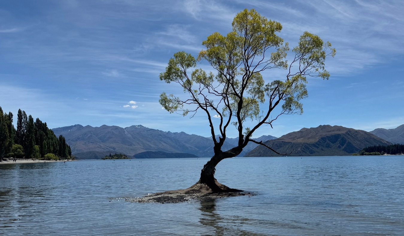 You are currently viewing New Zealand Travel Journal Day 7: Queenstown