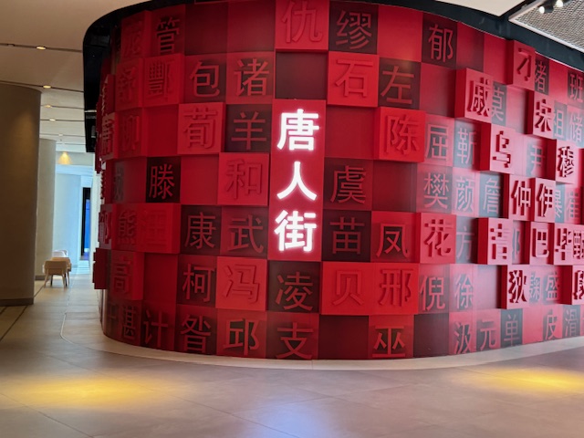 Dubai Mall Chinatown Surname Wall 姓氏墙前的“唐人街”