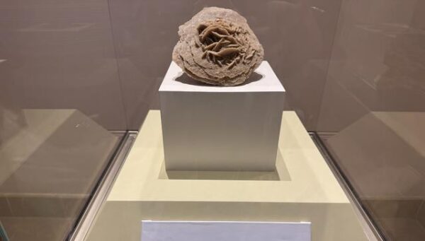 National Museum of Saudi Arabia Desert Rose 利雅得国家博物馆沙漠玫瑰