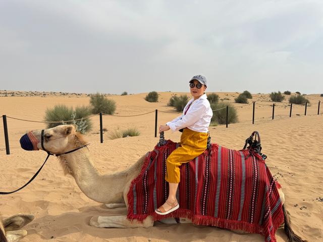 Dubai Desert Safari Camel Riding