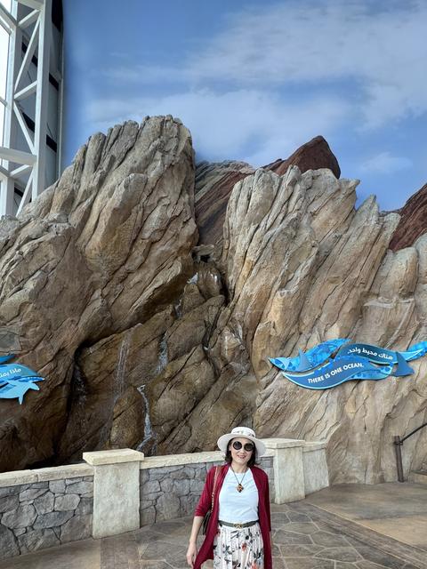 Abu Dhabi SeaWorld Entrance 阿布扎比海洋世界进口