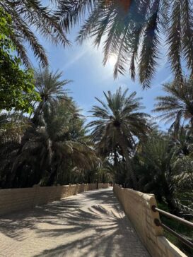 Al Ain Oasis Pathway 阿尔艾因绿洲小径