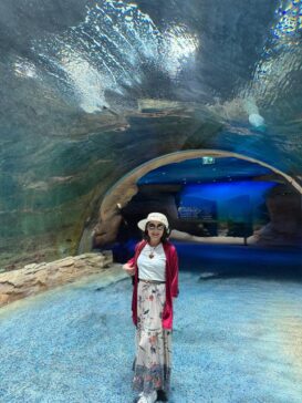 Underwater tunnel Seaworld Abu Dhabi Yas Island 水下隧道 阿布扎比海洋世界 亚斯岛