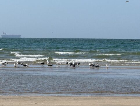 MuscatQurum BeachWalking Along the Shoreline马斯喀特古勒姆海滩海边散步
