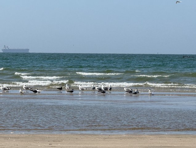 MuscatQurum BeachWalking Along the Shoreline马斯喀特古勒姆海滩海边散步