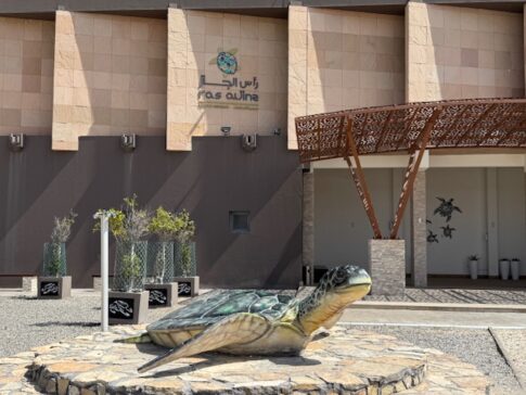 Turtle Reserve 乌龟保护区
