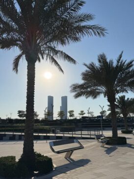Doha Marina Palm Tree 多哈海滨棕榈树
