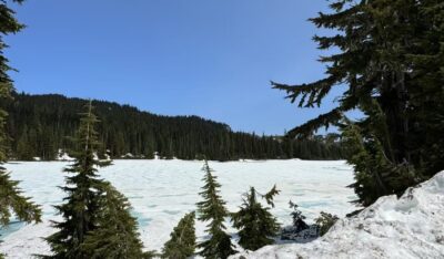 Read more about the article Seattle Travel Journal Day 1: Mount Rainier