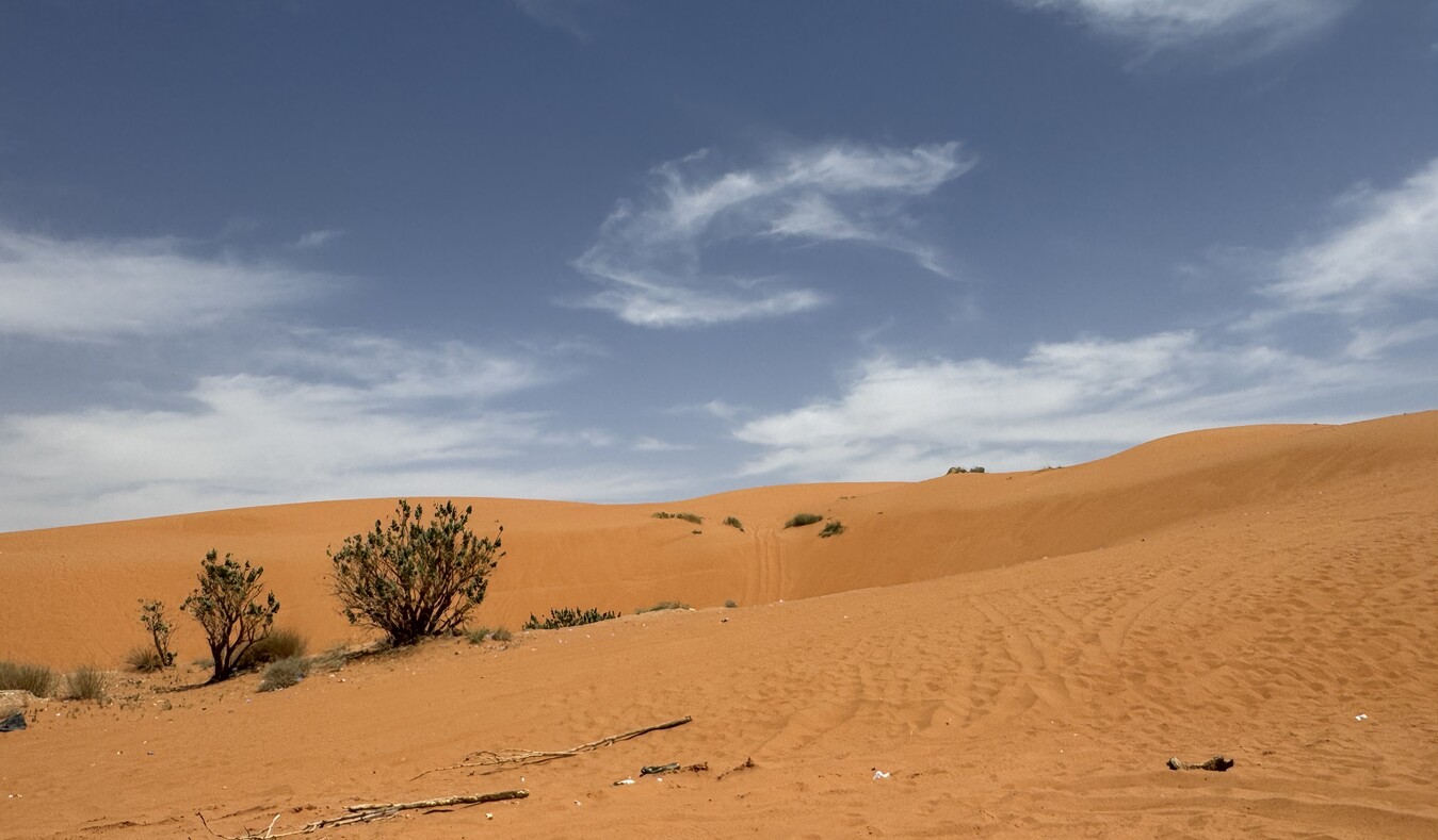 You are currently viewing Middle East Travel Journal Day 30: Desert Farewell