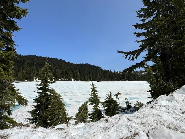 Mount Rainier