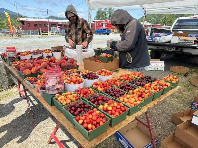 Rainier Cherry