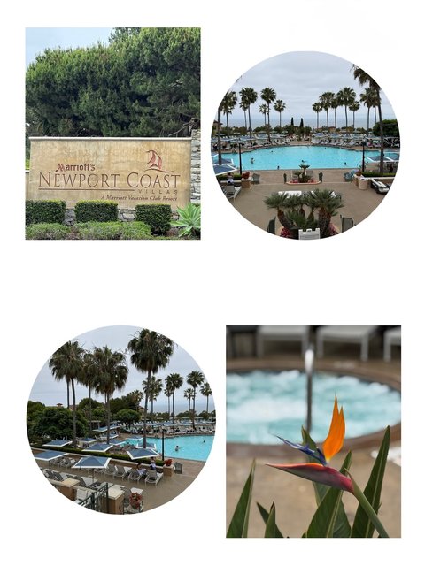 Newport Beach