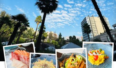 Read more about the article An Unfinished Journey to Antarctica and Travels in Chile Day 6: Santiago