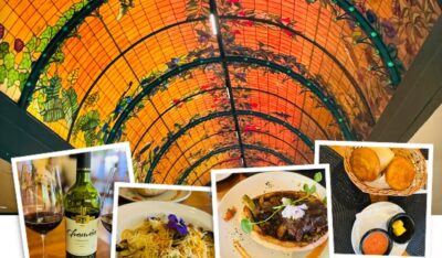 Read more about the article An Unfinished Journey to Antarctica and Travels in Chile Day 7: Colchagua Valley