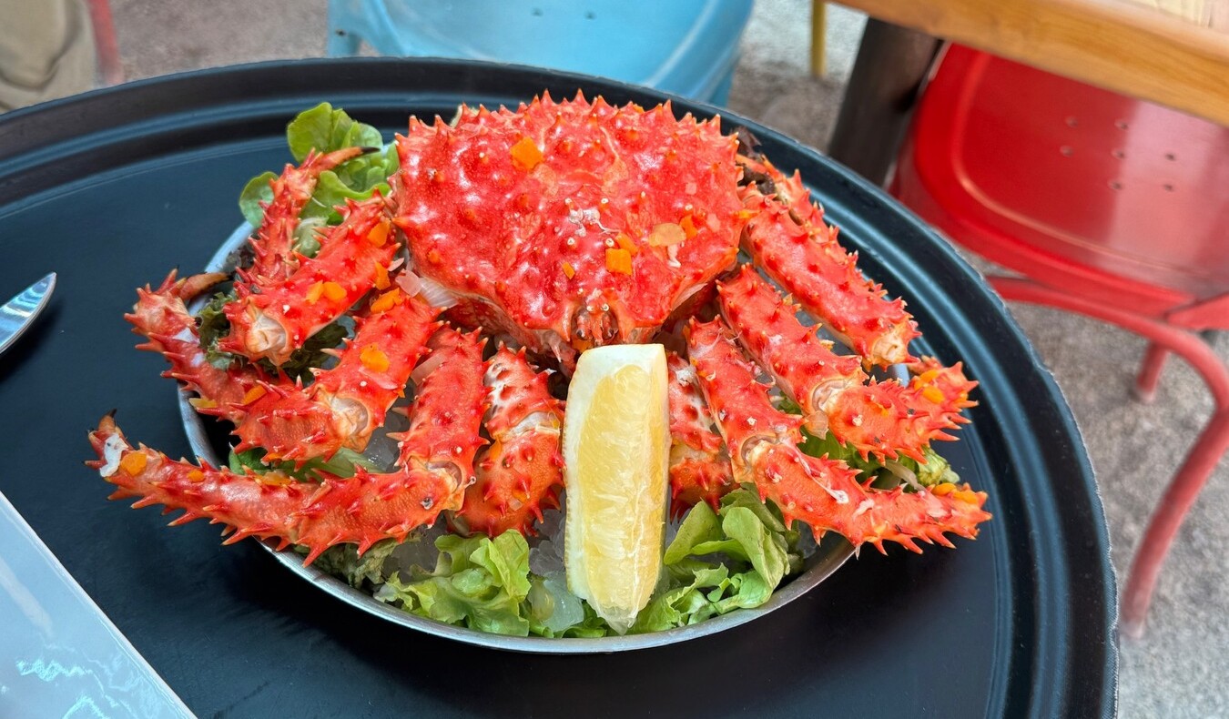 You are currently viewing 南极未竟之旅与智利之行第一天: 圣地亚哥