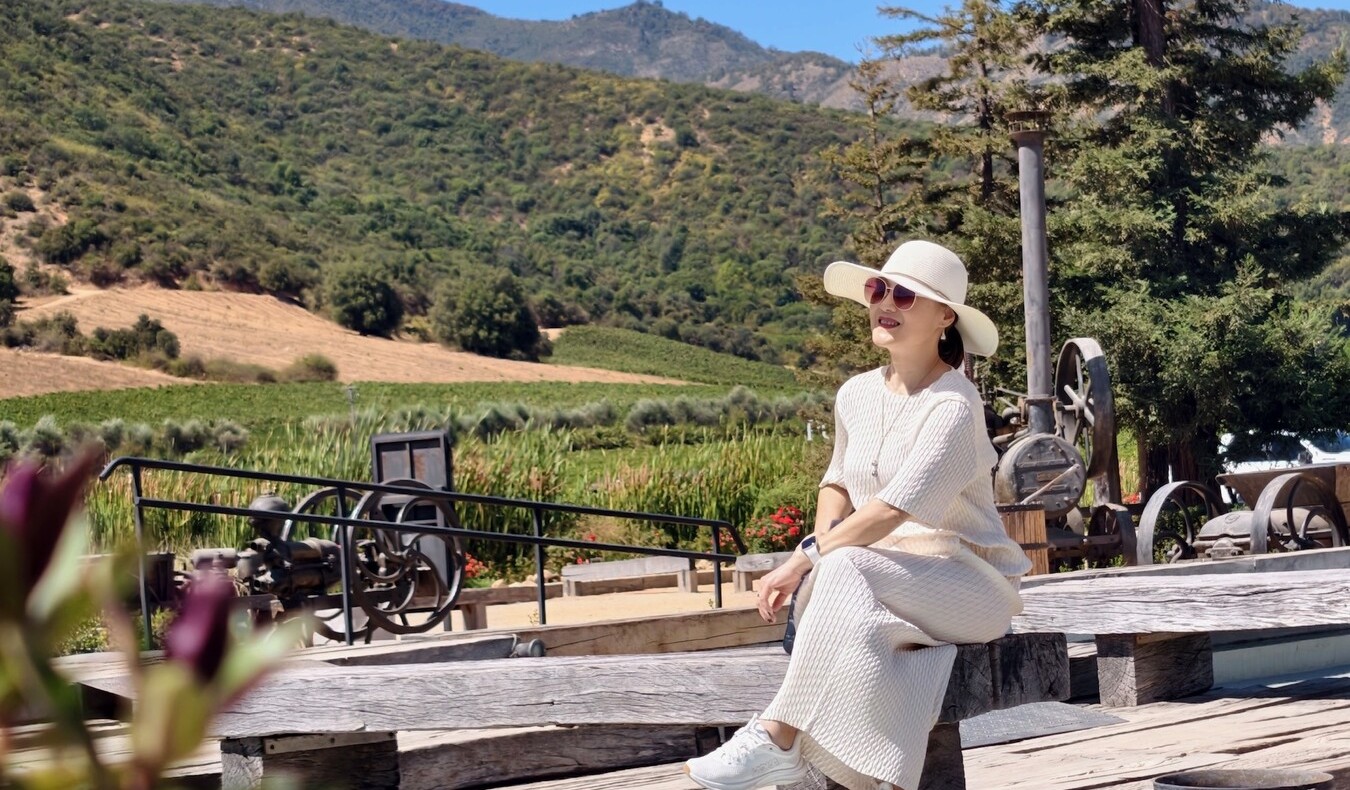 You are currently viewing An Unfinished Journey to Antarctica and Travels in Chile Day 8: Viña Montes