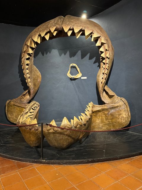 Museo de Colchagua