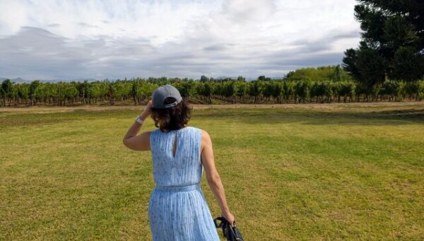 Viña Maquis 马奇酒庄