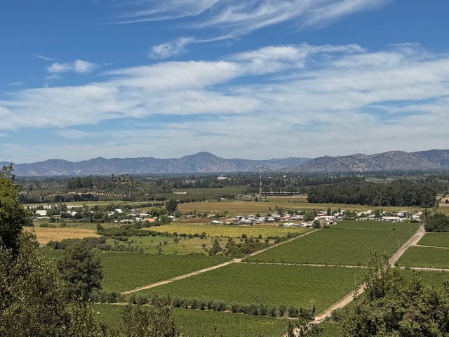 Viña Montes