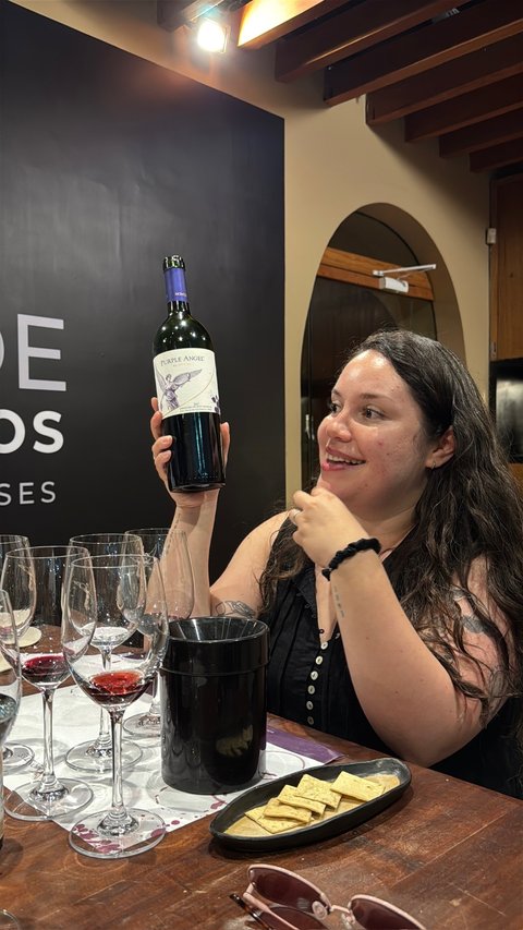 Viña Montes wine tasting
