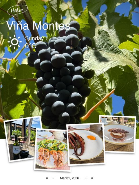 Viña Montes lunch
