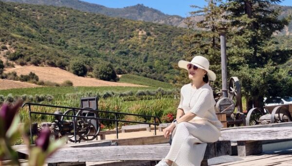 Viña Montes 蒙特斯酒庄