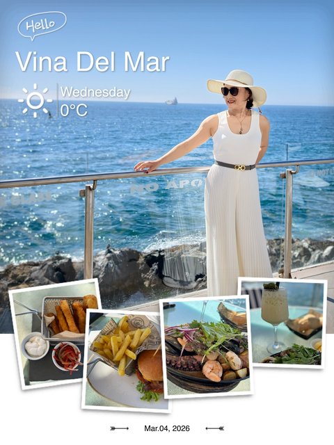 Viña del Mar