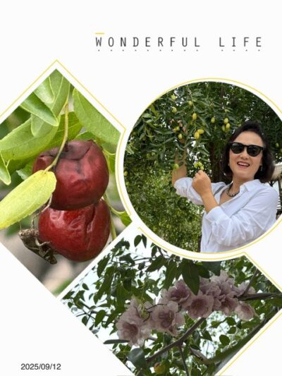 吴堡石城 Wubu Stone City_resized