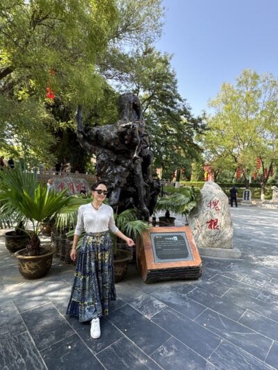 Hongtong Great Pagoda Tree 洪洞大槐树寻根园